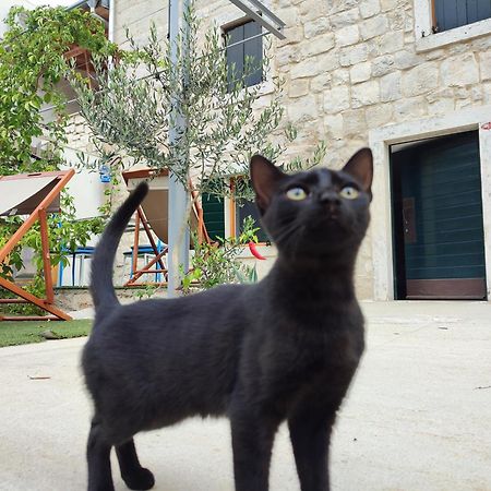 Apartmani Peljesac Sova Sreser Extérieur photo