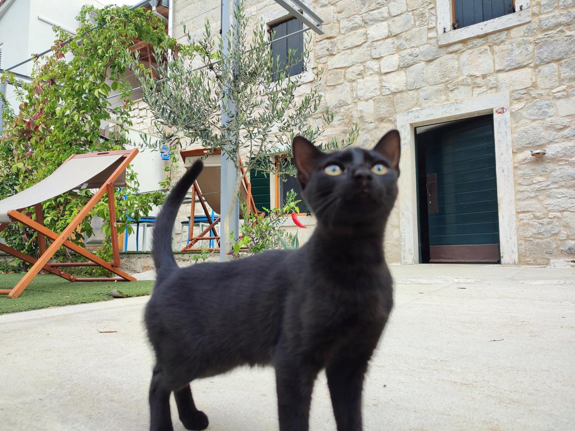 Apartmani Peljesac Sova Sreser Extérieur photo