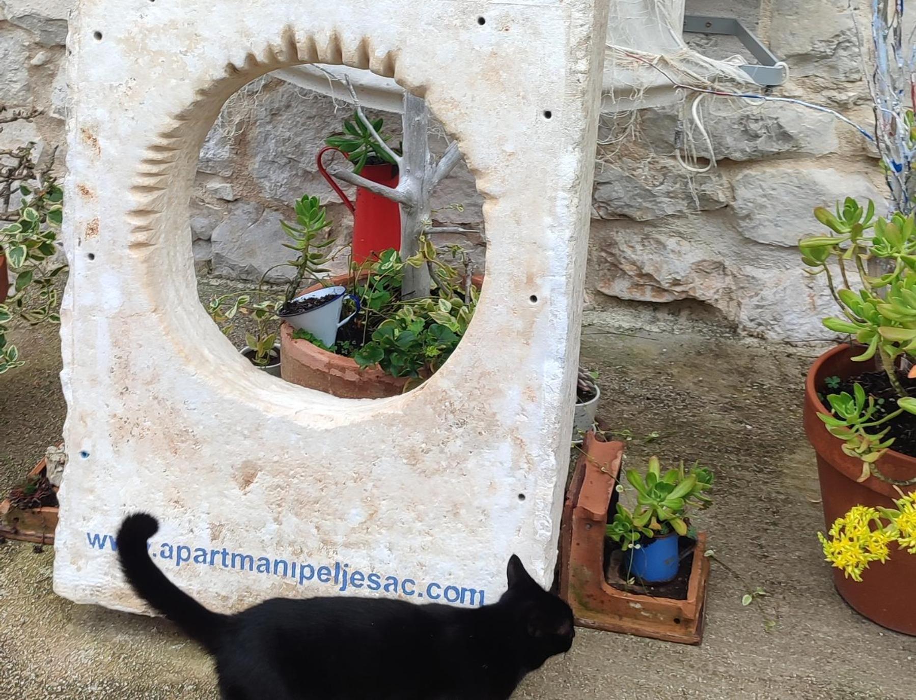 Apartmani Peljesac Sova Sreser Extérieur photo